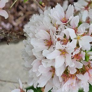 Meet your Posher, Terry